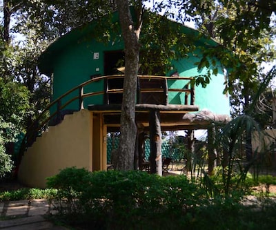 Pride Tiger Woods Resort